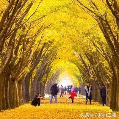 邳州热点爆料最新消息