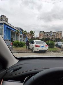 无德司机最新爆料视频,行车记录仪揭露惊人真相