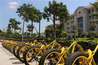 翔安区共享单车最新爆料,最新爆料揭示行业变革趋势