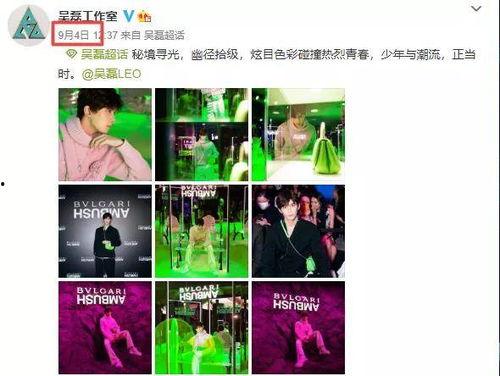 飞霄最新爆料视频,揭秘神秘项目，带你领略科技前沿风采