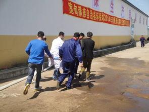 辽宁宽甸爆料事件最新,揭开背后真相与争议