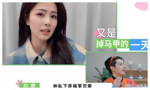 白鹿助力爆料最新消息视频,最新消息视频深度解析